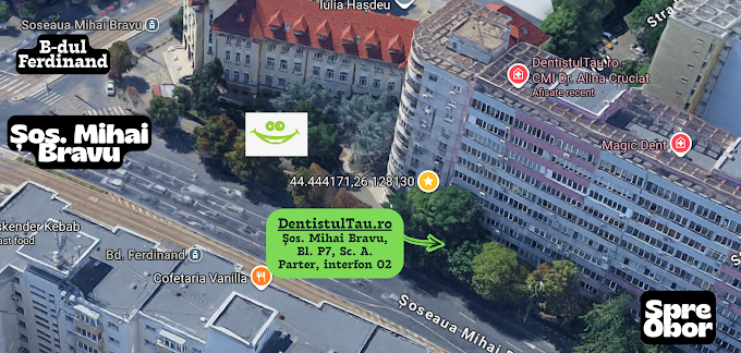 DentistulTau.ro CMI Dr. Alina Cruciat1