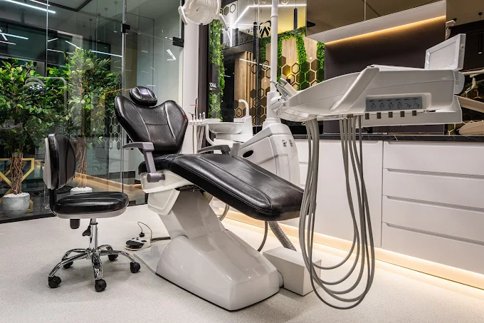 MON BLANC DENTAL2